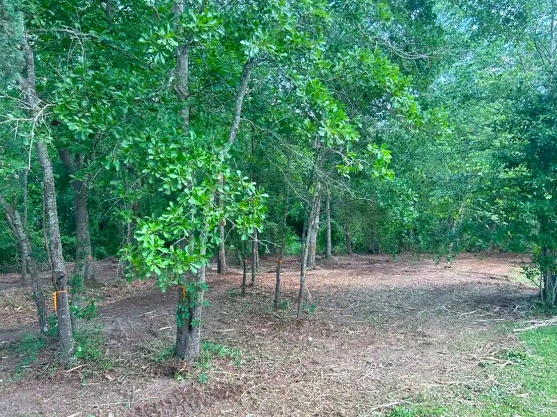 Clean cleared land after professional brush removal