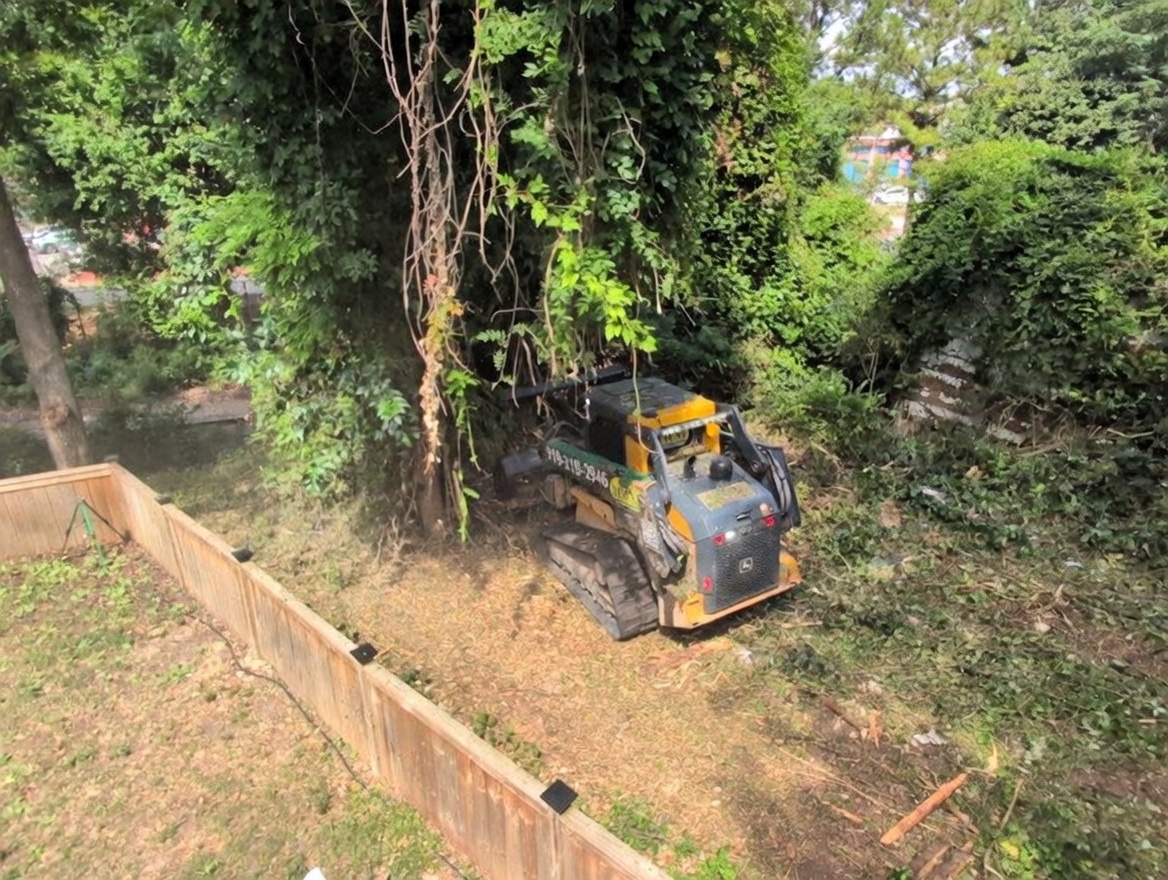 Fence Line Clearing